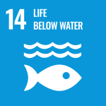 LOGO-UN-SDG-14-Life-Below-Water-1024x1024